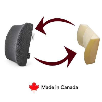 xeno lumbar support cushion