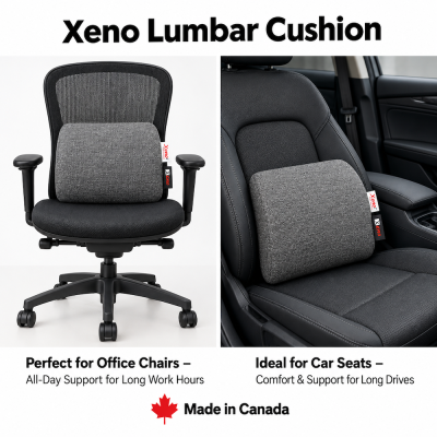 xeno lumbar support cushion