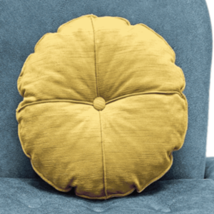 Velvet Throw Pillow